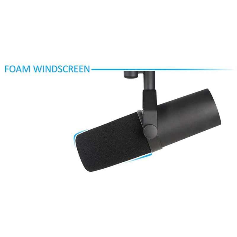 -[A51I Digital] 8-teilige Wind – Shure Mic Sm7B Bewertung und Preis