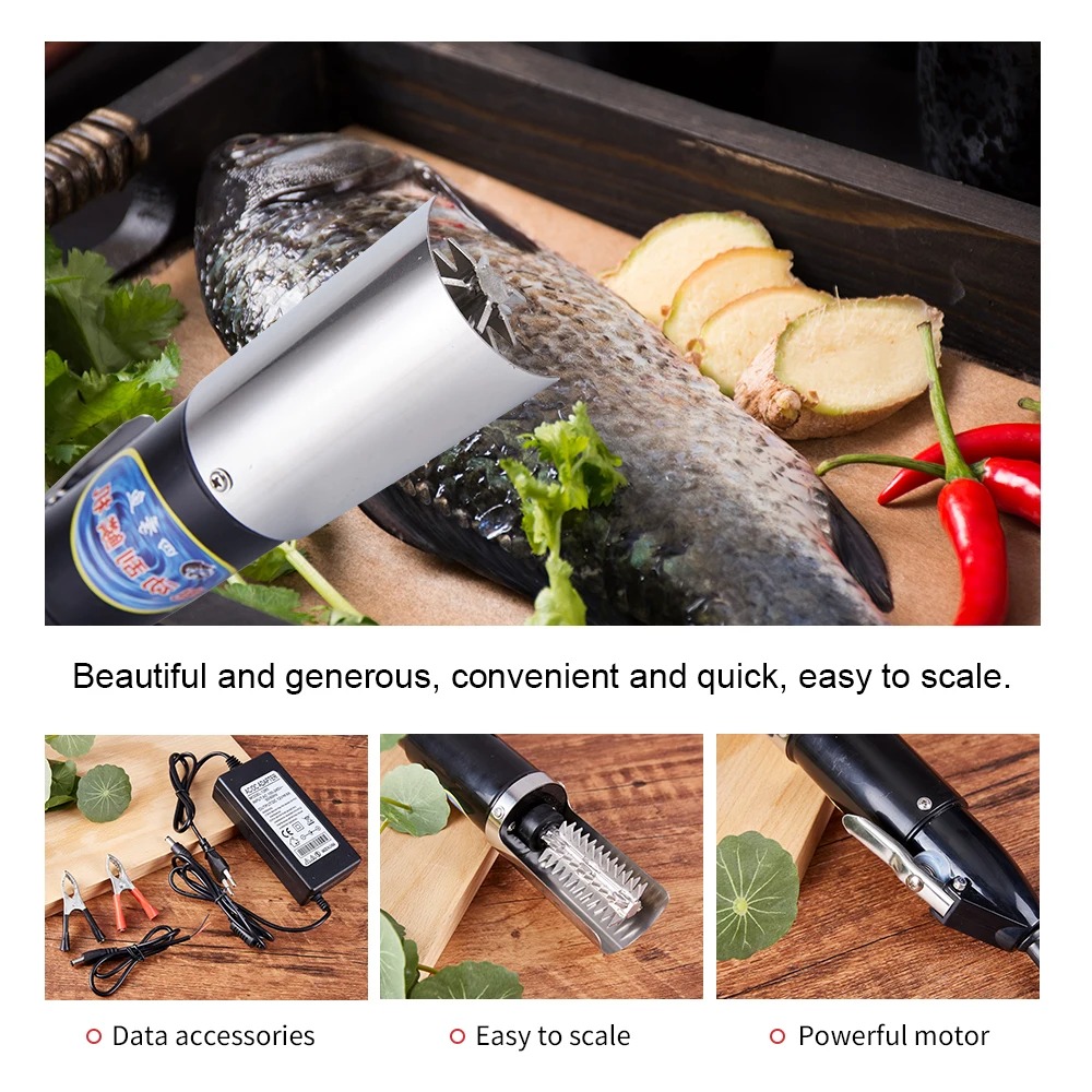 Meeresfrüchte Messer 120W Wass – Mesh Coil Strip Bewertung und Preis